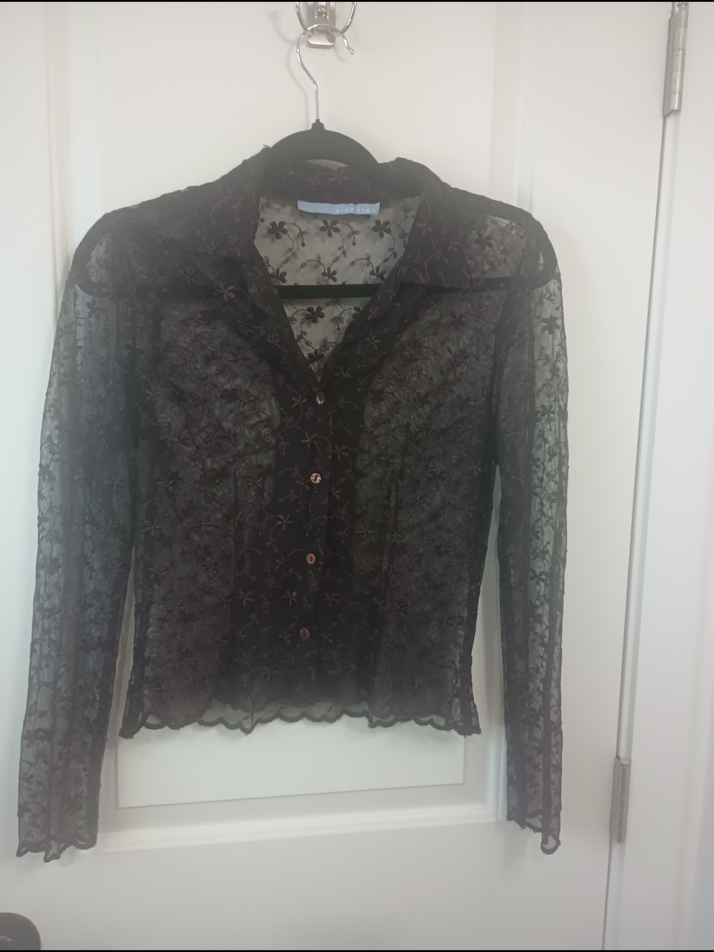 Vintage Sheer Brown Floral Lace Button-Down Top